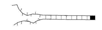 Kittel Zipper Diagram 1